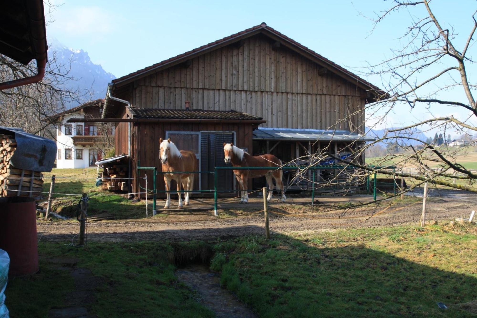 Apartmán Bachbauernhof Bayerisch Gmain Exteriér fotografie