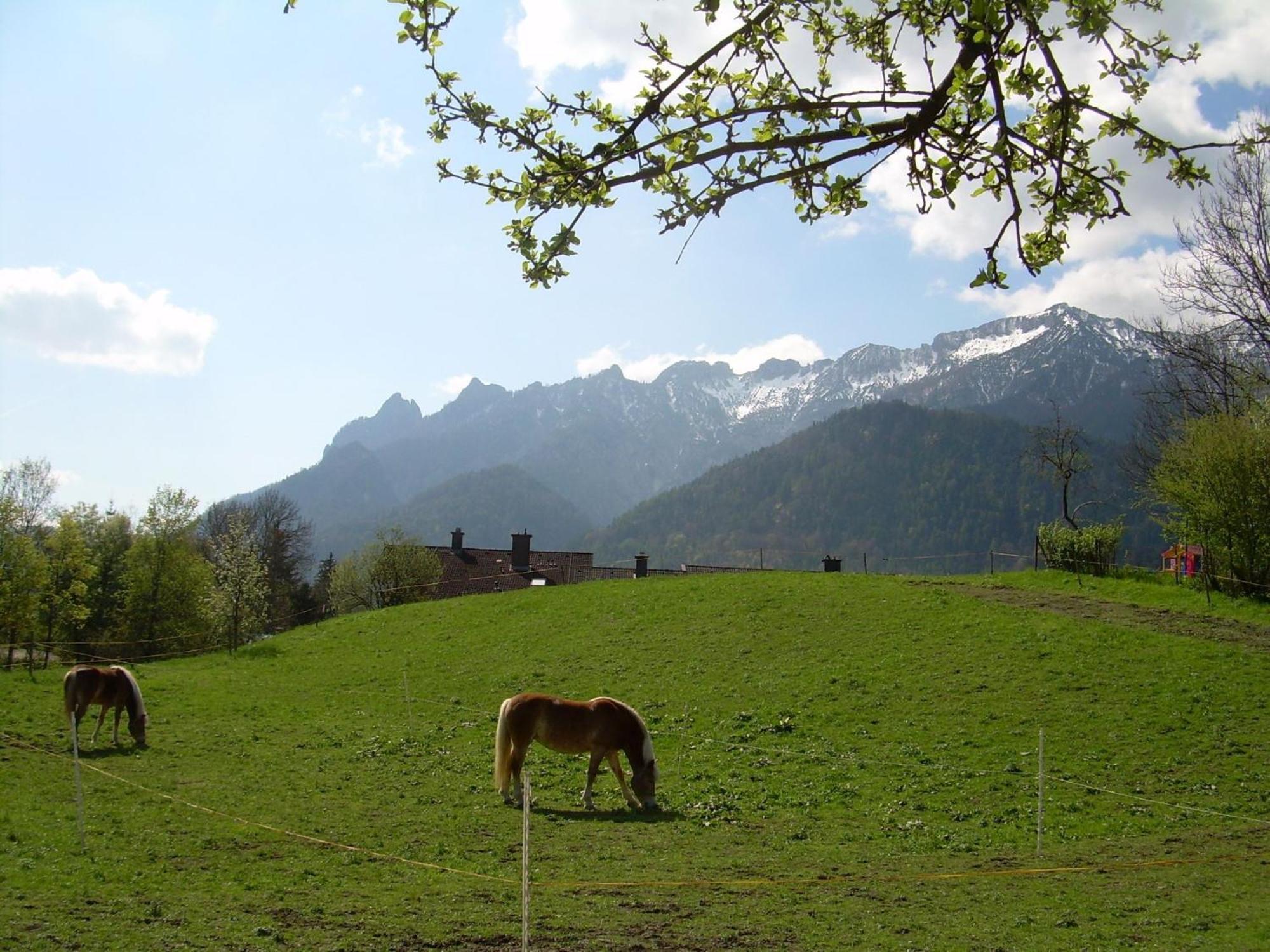 Apartmán Bachbauernhof Bayerisch Gmain Exteriér fotografie
