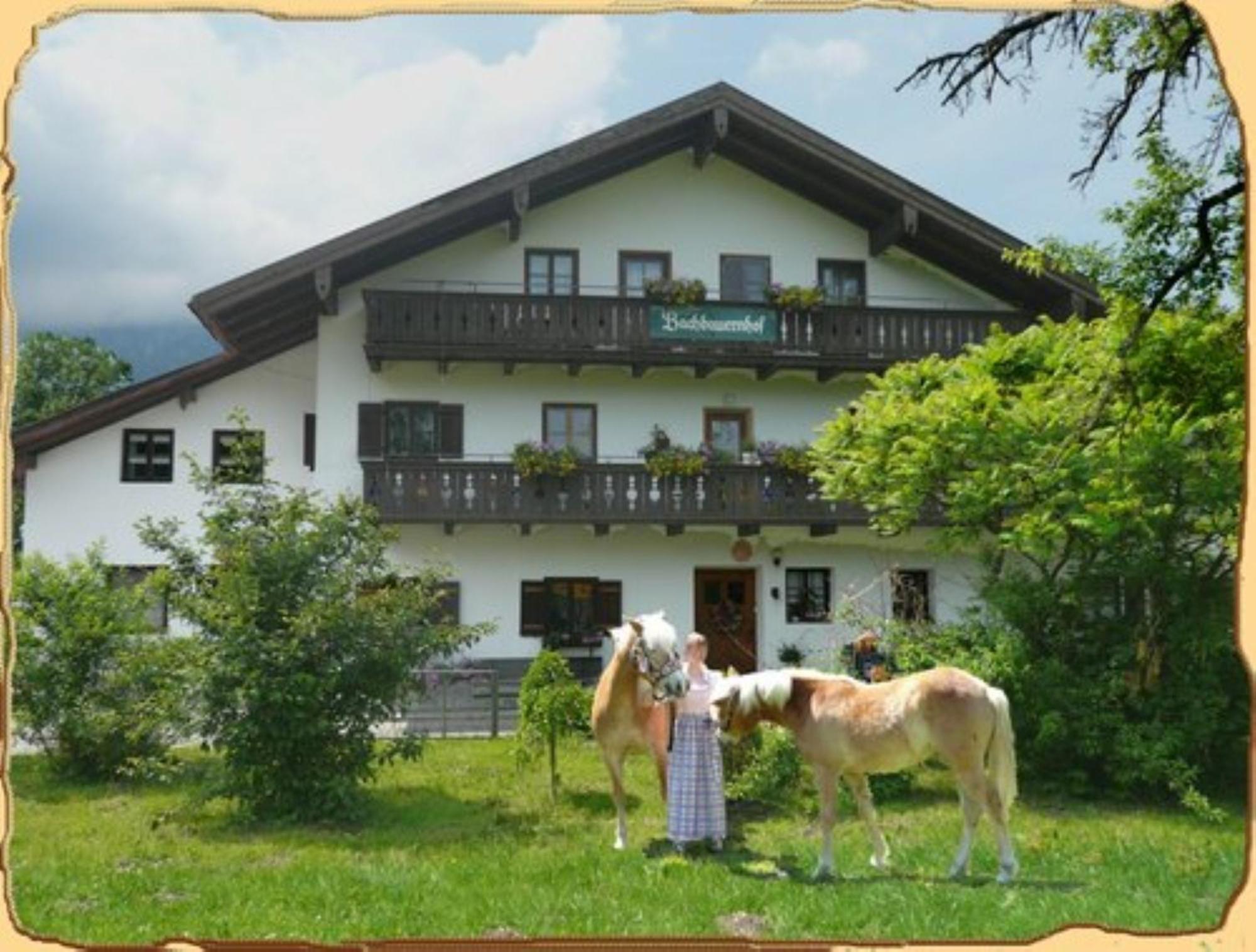 Apartmán Bachbauernhof Bayerisch Gmain Exteriér fotografie